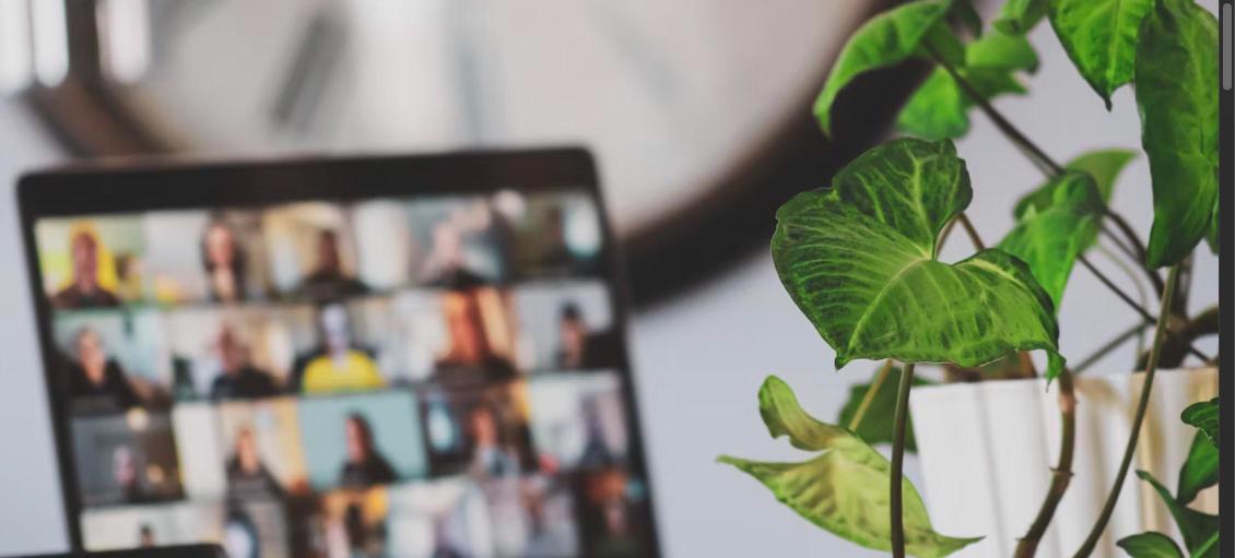Laptop showing video call grid next to a houseplant, representing a Zoom interview setup