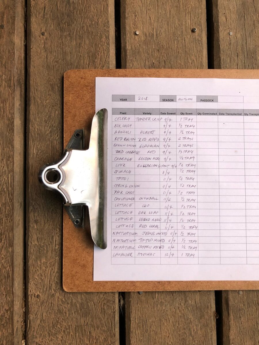 How to Use Your Performance Review to Advance Your Career