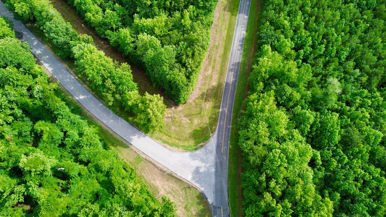 Aerial view of a forked road through a forest, representing the decision of whether to leave your job