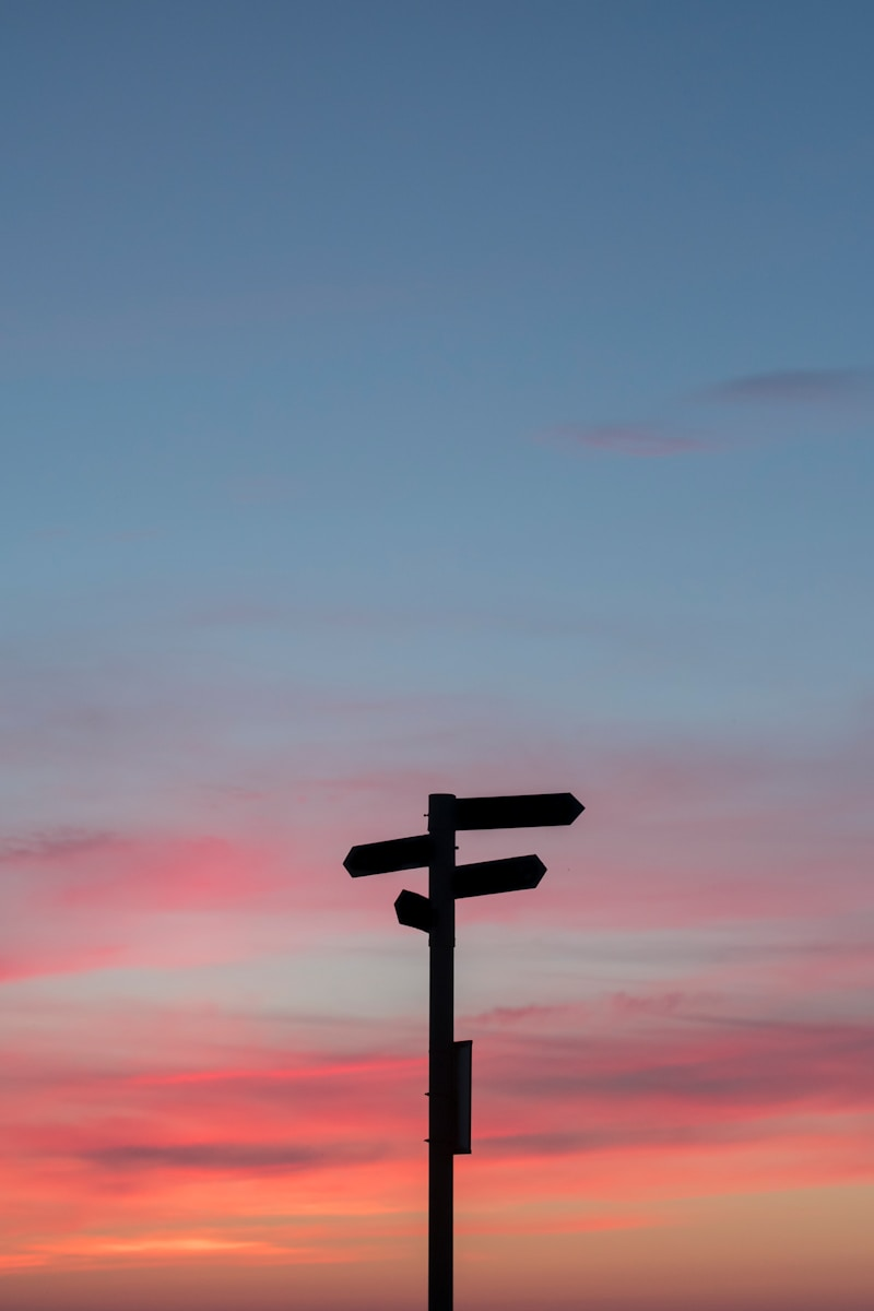 A wooden signpost against a sunset sky, symbolizing the choice to find your ideal career